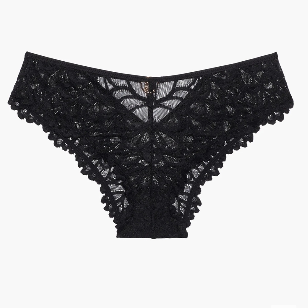 NWT Savage X Fenty Cheeky lace panties